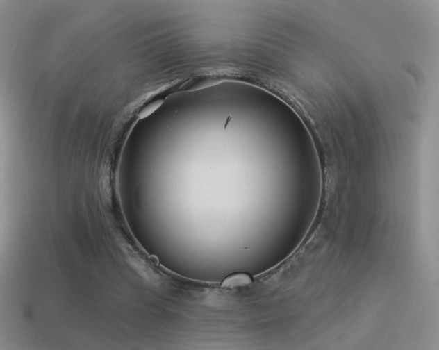 X0000114510345200910191138