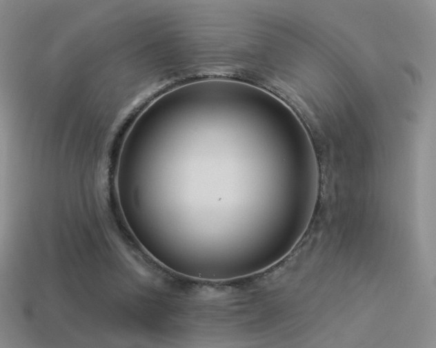 X0000114510346200910191138