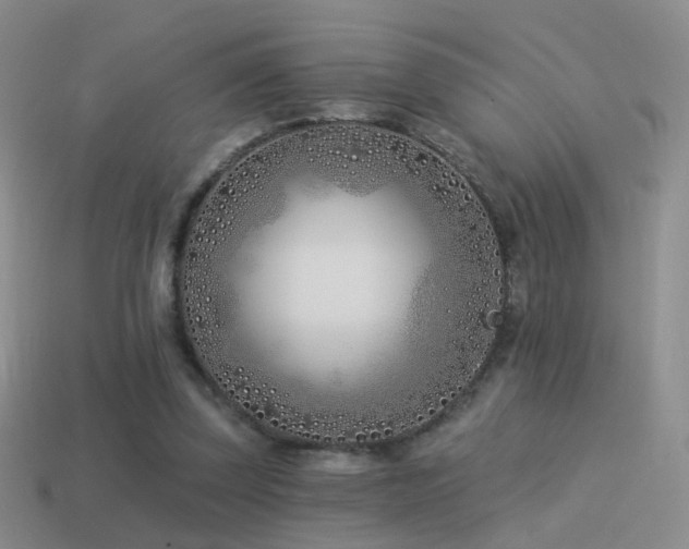 X0000114510347200910191138