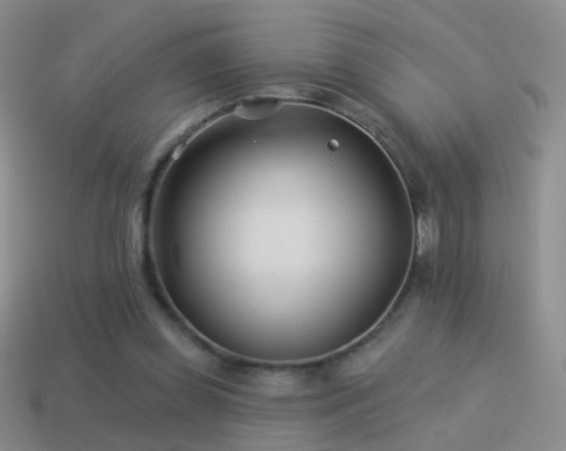 X0000114510349200910191138