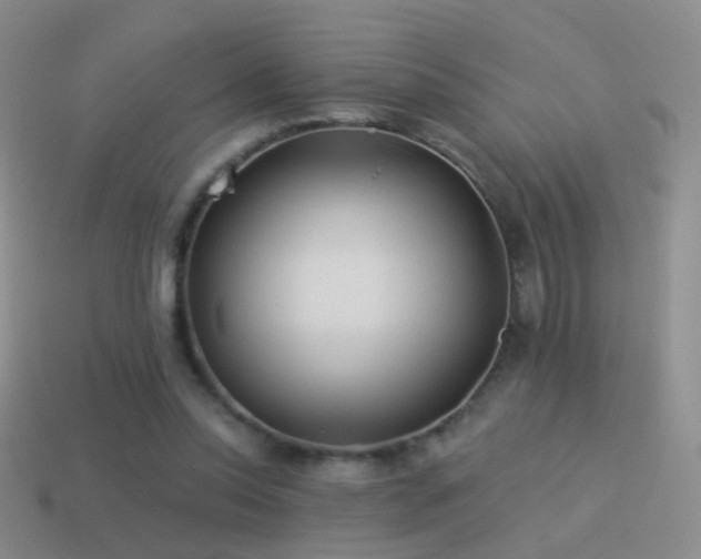 X0000114510350200910191138