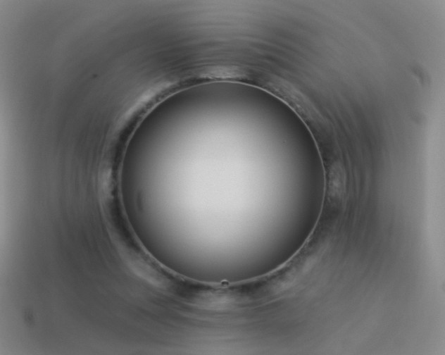 X0000114510351200910191138