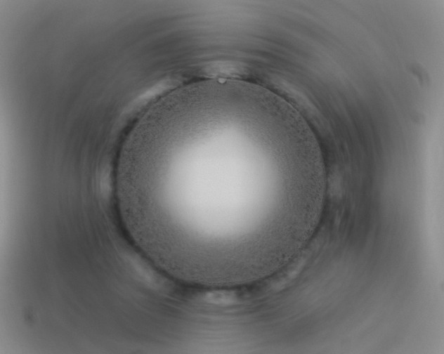 X0000114510353200910191138