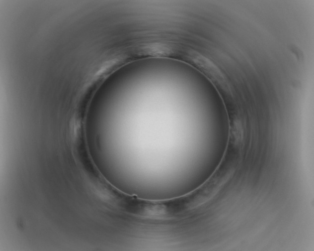 X0000114510355200910191138