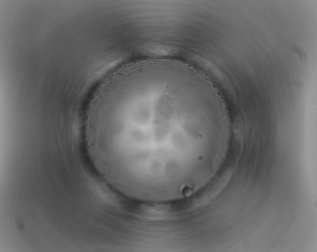 X0000114510359200910191138