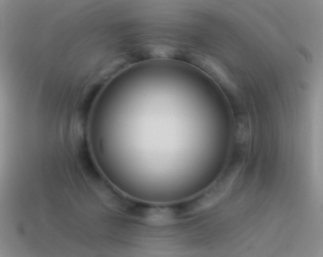 X0000114510363200910191138