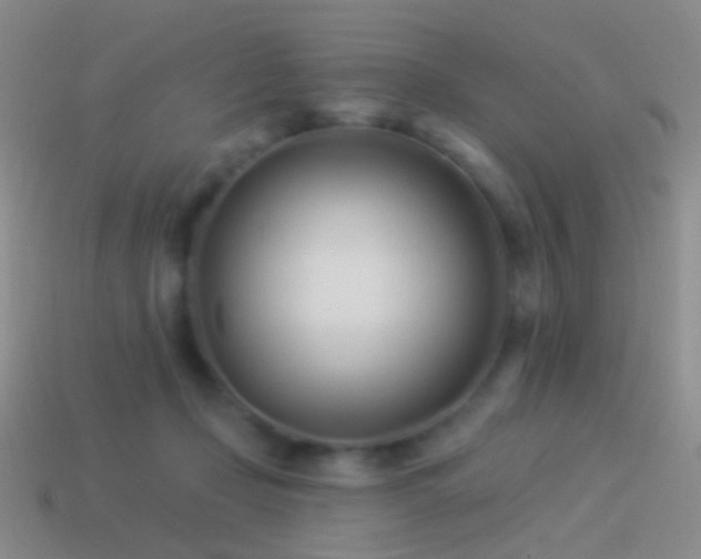 X0000114510365200910191138