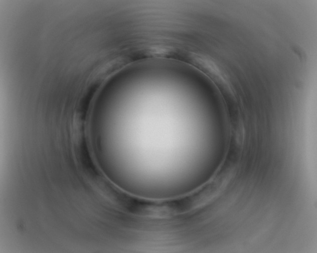 X0000114510366200910191138