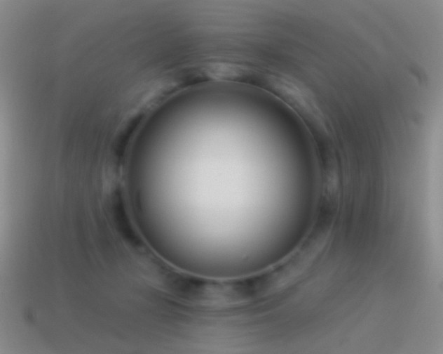 X0000114510367200910191138