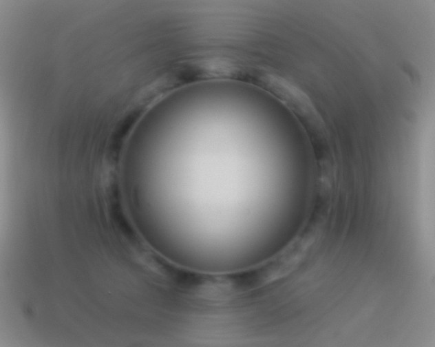 X0000114510369200910191138