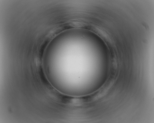 X0000114510371200910191138