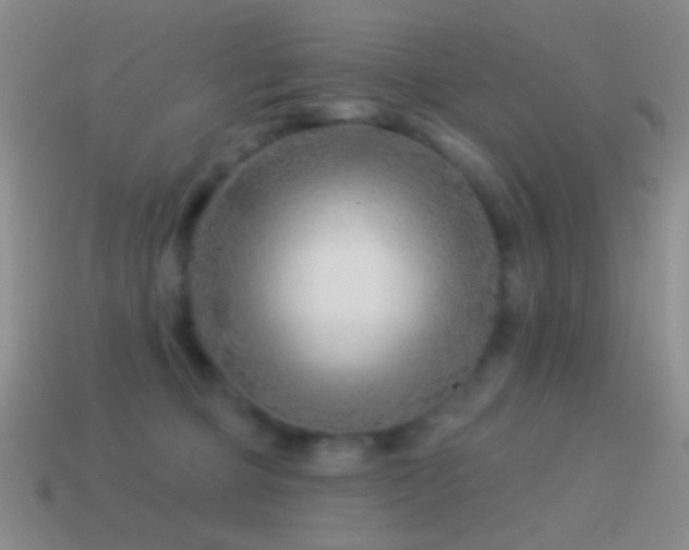 X0000114510373200910191138