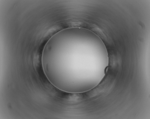 X0000114510378200910191138