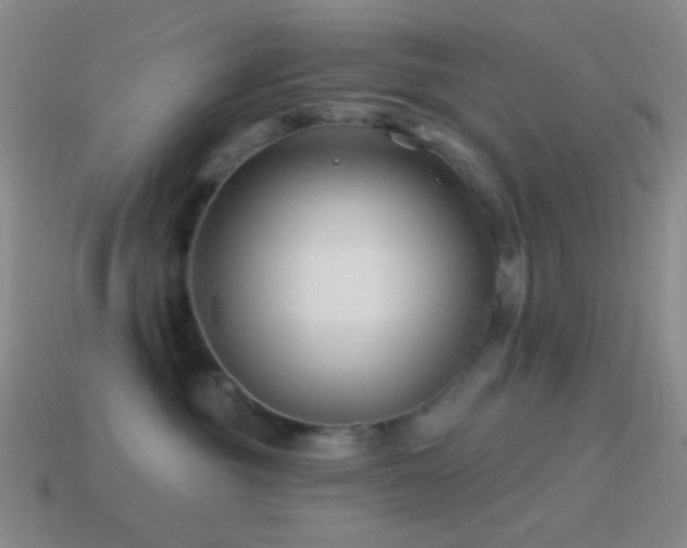 X0000114510381200910191138