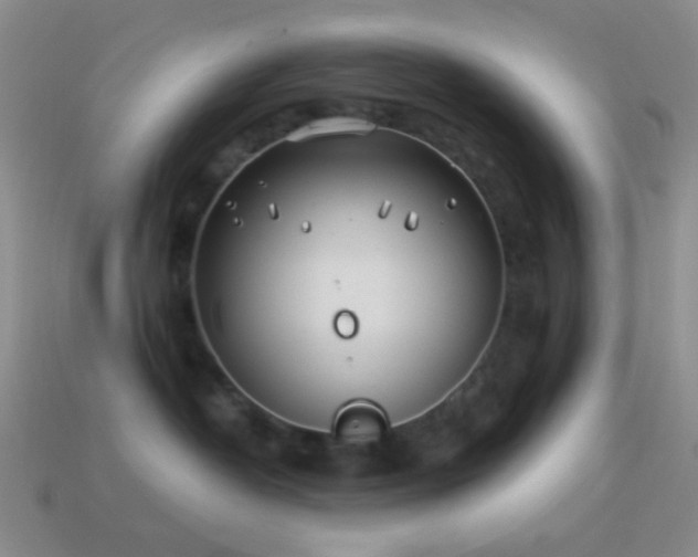 X0000114510382200910191138