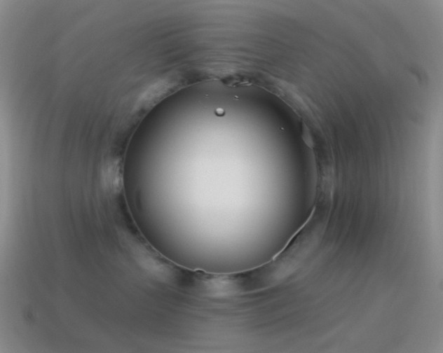 X0000114510383200910191138