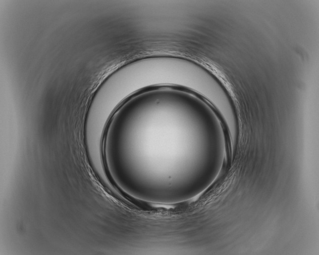 X0000114510385200910191138