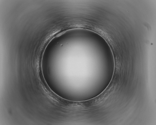 X0000114510386200910191138