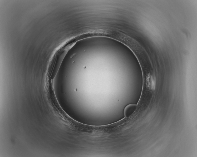 X0000114510388200910191138