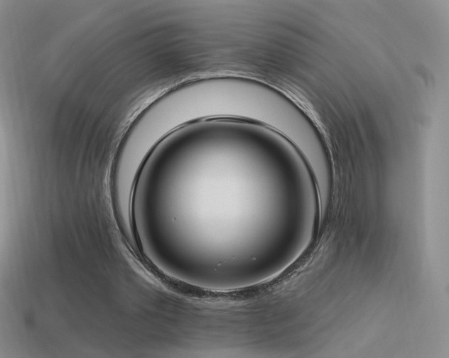 X0000114510389200910191138