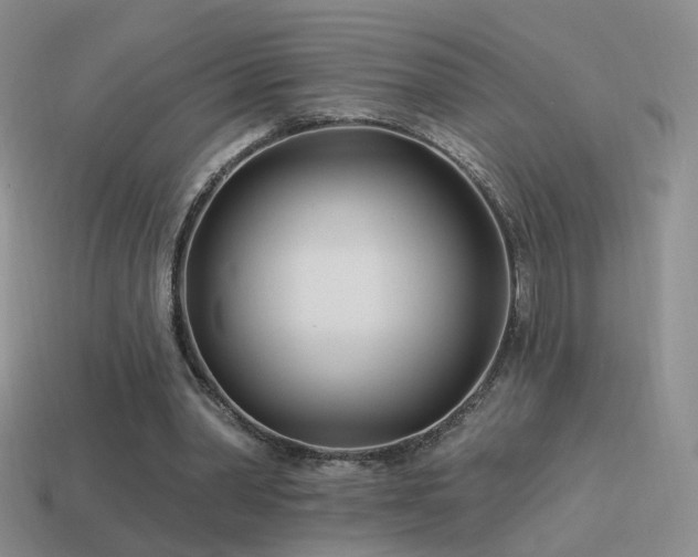 X0000114510390200910191138