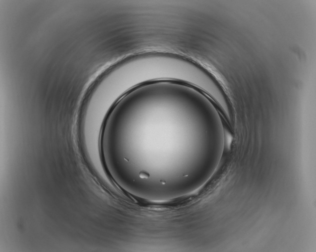 X0000114510391200910191138