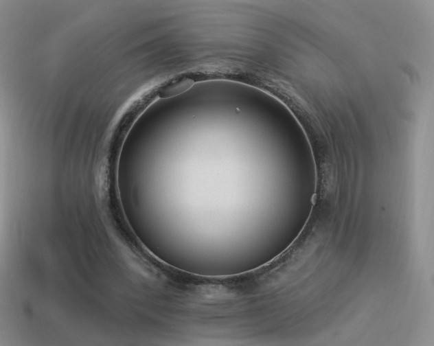 X0000114510392200910191138