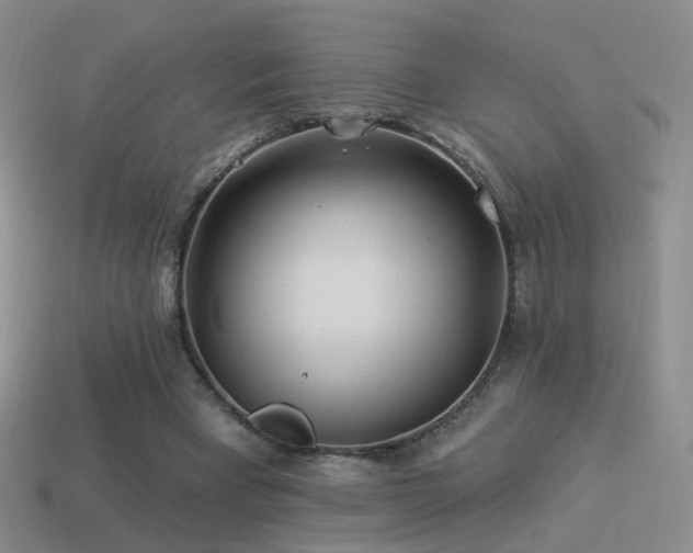 X0000114510393200910191138