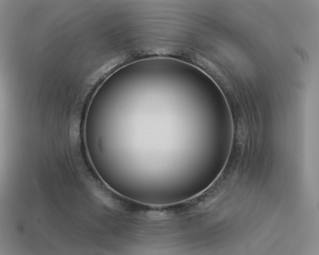 X0000114510394200910191137