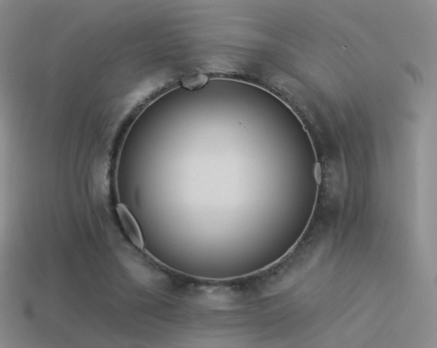 X0000114510395200910191137