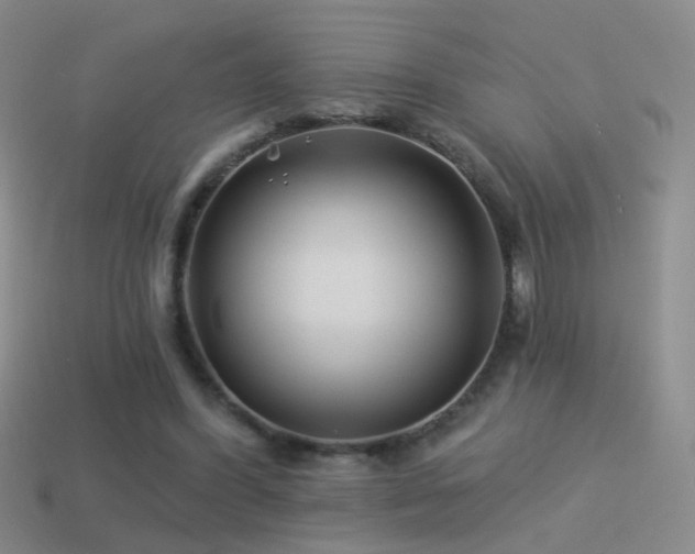 X0000114510396200910191137