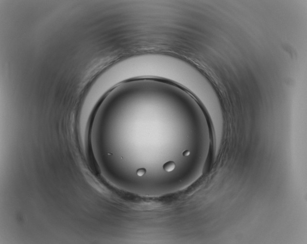 X0000114510397200910191137