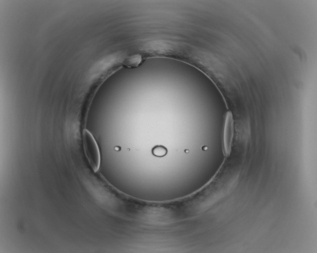 X0000114510399200910191137