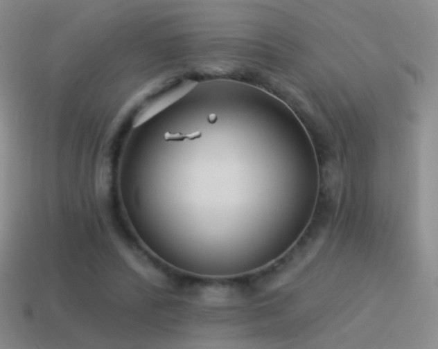 X0000114510400200910191137