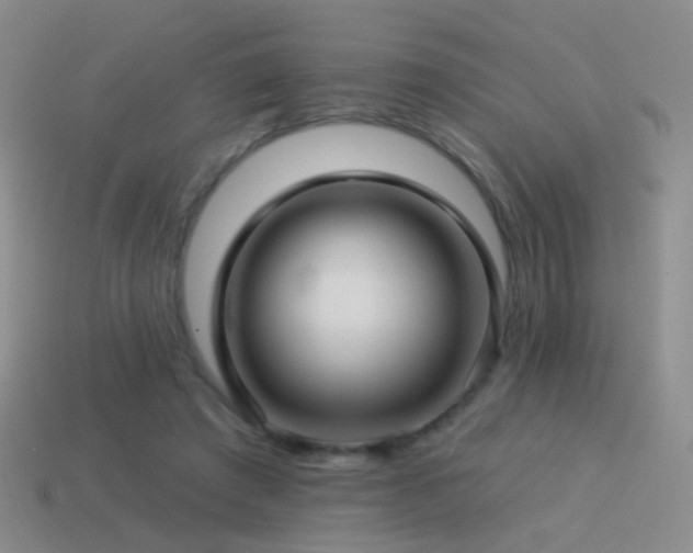 X0000114510401200910191137