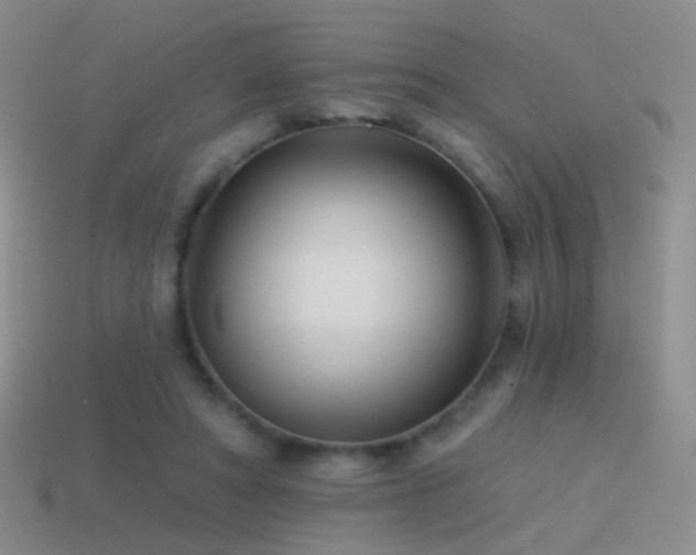 X0000114510402200910191137