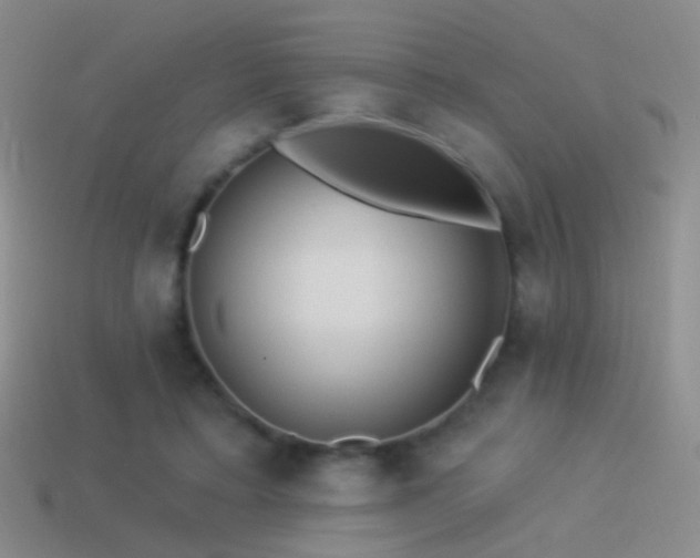 X0000114510403200910191137