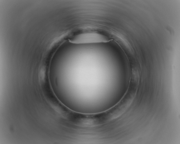 X0000114510404200910191137