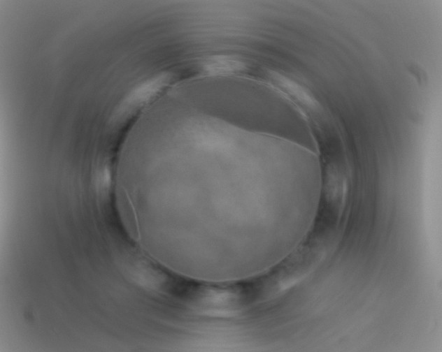 X0000114510405200910191137