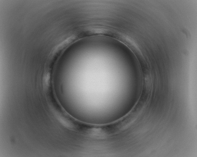 X0000114510406200910191137