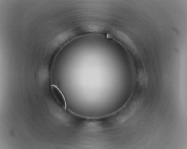 X0000114510407200910191137