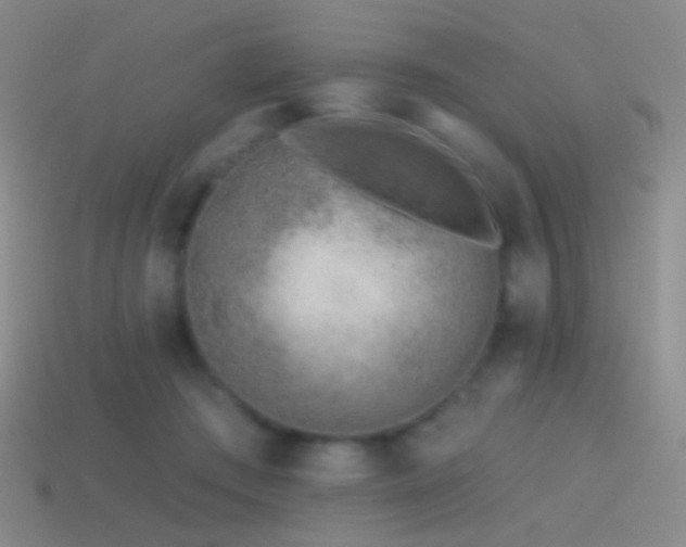 X0000114510409200910191137