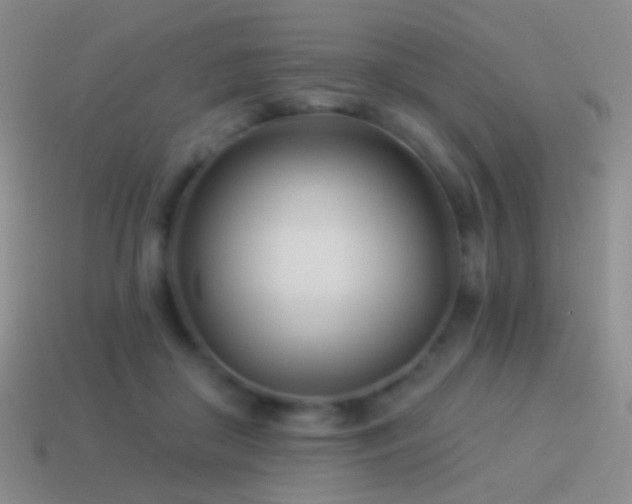 X0000114510410200910191137