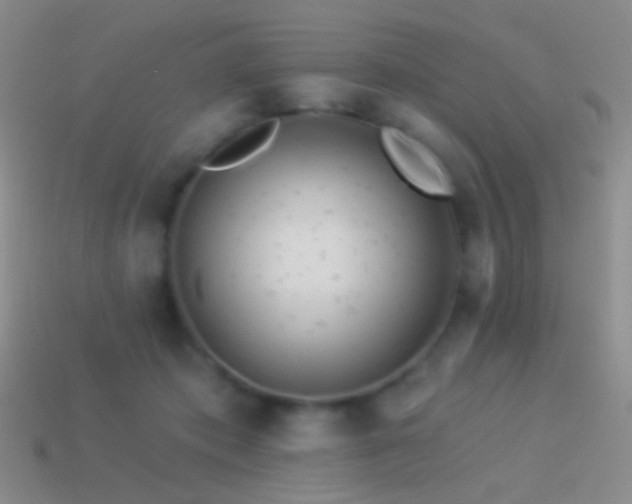 X0000114510413200910191137