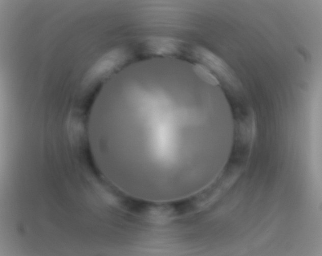 X0000114510415200910191137