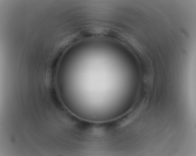 X0000114510416200910191137