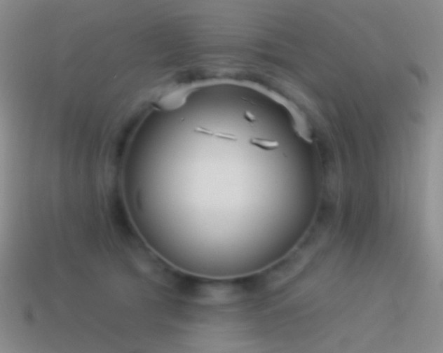 X0000114510417200910191137