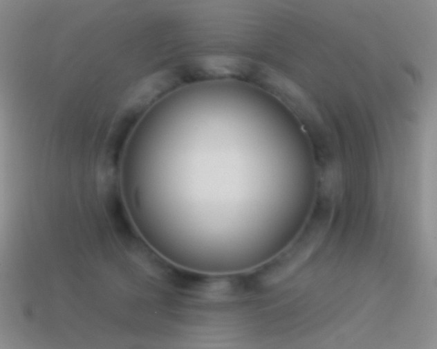 X0000114510418200910191137