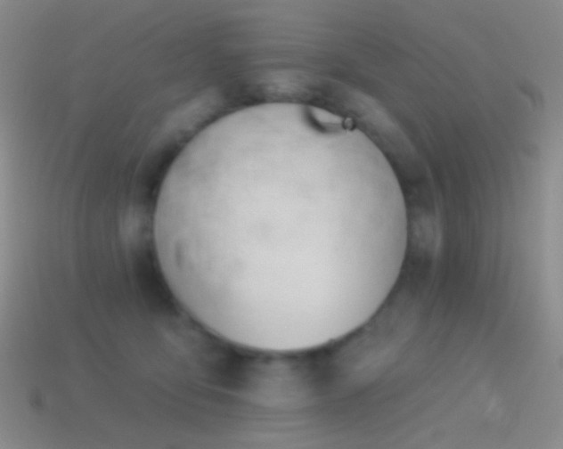 X0000114510419200910191137