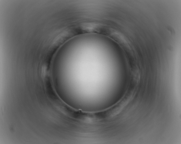 X0000114510420200910191137